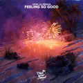 Feeling So Good