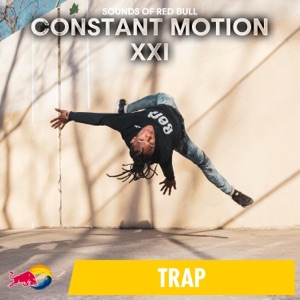 Constant Motion XXI