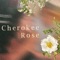 Cherokee Rose - Spilly lyrics