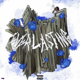 MAVERICK (feat. Arlington) LilBrian1k