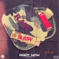 Right Now - Single - Scxtt Supremacy & Dudellie