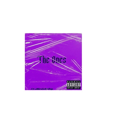 The Ones (feat. JBirdxHailey) - Single