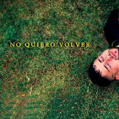 No Quiero Volver - Single