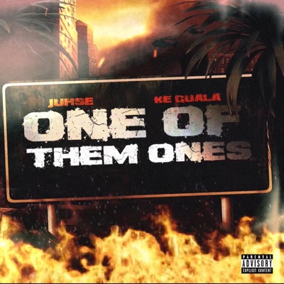 One of Them Ones - Single
