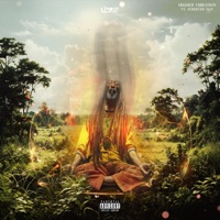 Higher Vibration - Single - LIVE FROM HEAVEN