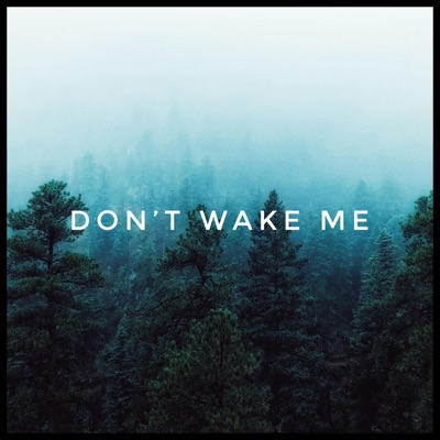 Don't Wake Me - Single