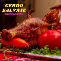 Cerdo Salvaje - Single - Cxsxblxncxs & Omegatron el Efecto Musical