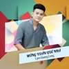 Mừng Xuân Quê Nhà - Single