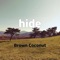 Hide - Brown Coconut lyrics