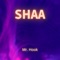 Shaa - Mr. Hook lyrics