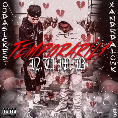 Temporarily Numb (feat. Xandrdalowk) - Single