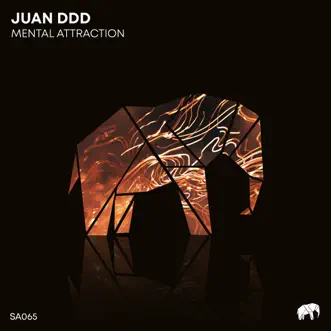 Mental Attraction - Single by Juan DDD album reviews, ratings, credits