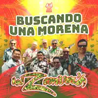 Buscando una Morena — Los Zemvers