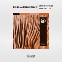 Seek Shelter - Single - Dilby & Albuquerque