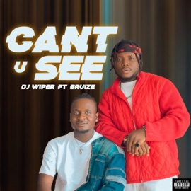 Cant u See (feat. Bruize) Dj wiper