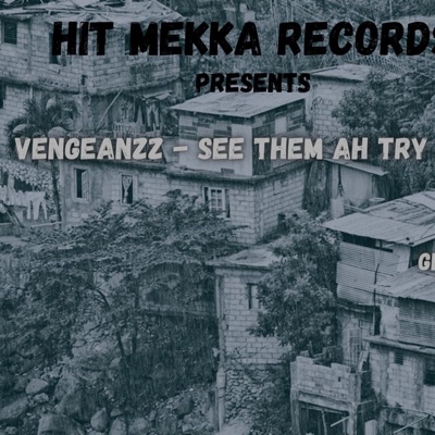 See them ah try (feat. Vengeanzz) - Single
