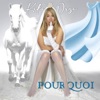 Pourquoi - Single