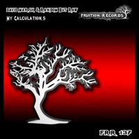 My Calculations - Single - David Marsh & Random But Raw