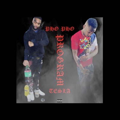 Program (feat. Tesla) - Single