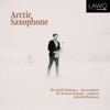 Arctic Saxophone