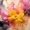 Seeds of Peace - Cassia (Meditation)