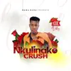 Acidic Vokoz - Nkulinako Crush