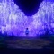 Blexxed Rubies - pxiqzes lyrics