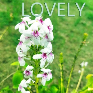 Lovely - Single
