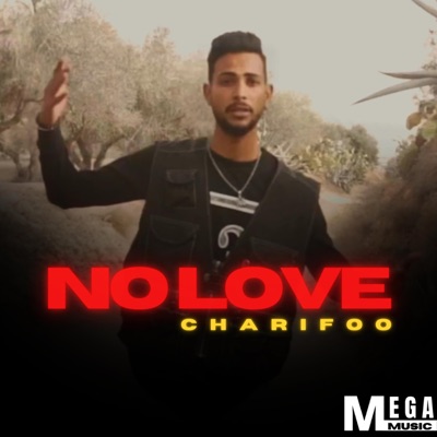 No Love - Single
