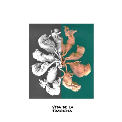 VIDA DE LA TRAGEDIA (feat. María en la Luna) - Single