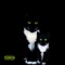 Damsels In Distress (feat. Lozza) - Poolpat lyrics