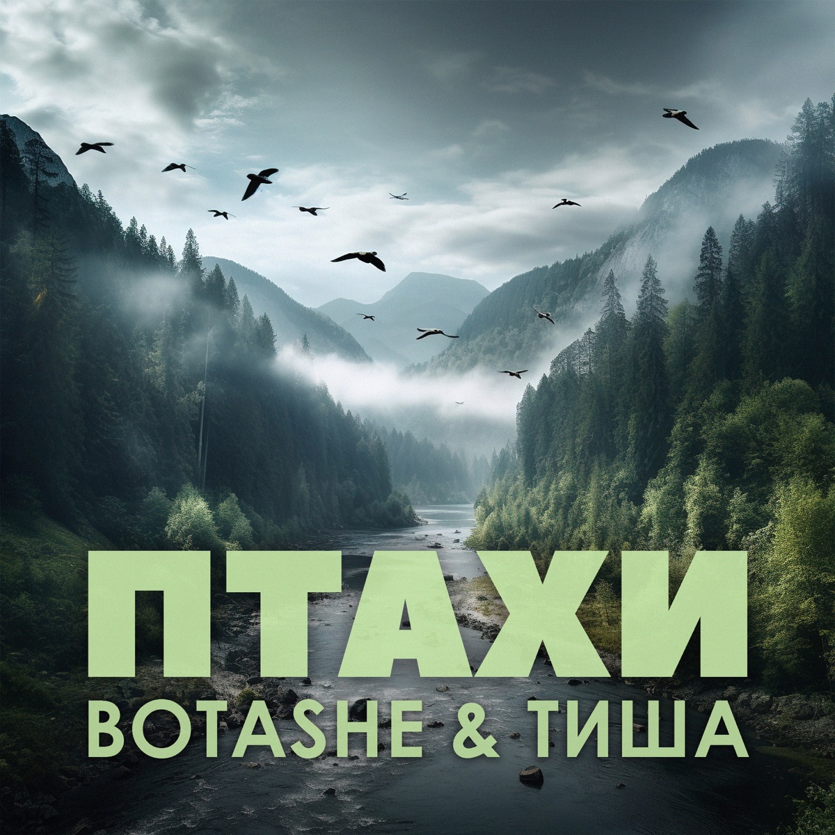 BOTASHE, ТИША – Птахи: Слушать И Скачать Mp3 Песню