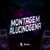 Montagem Alucinogena - Single - DJ Londres