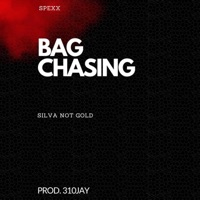 Bag Chasing (feat. Silva Not Gold) - Single - Spexx