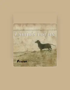 Ouça Luminis Insigne, assista a videoclipes, leia a biografia, veja as datas das turnês e mais!