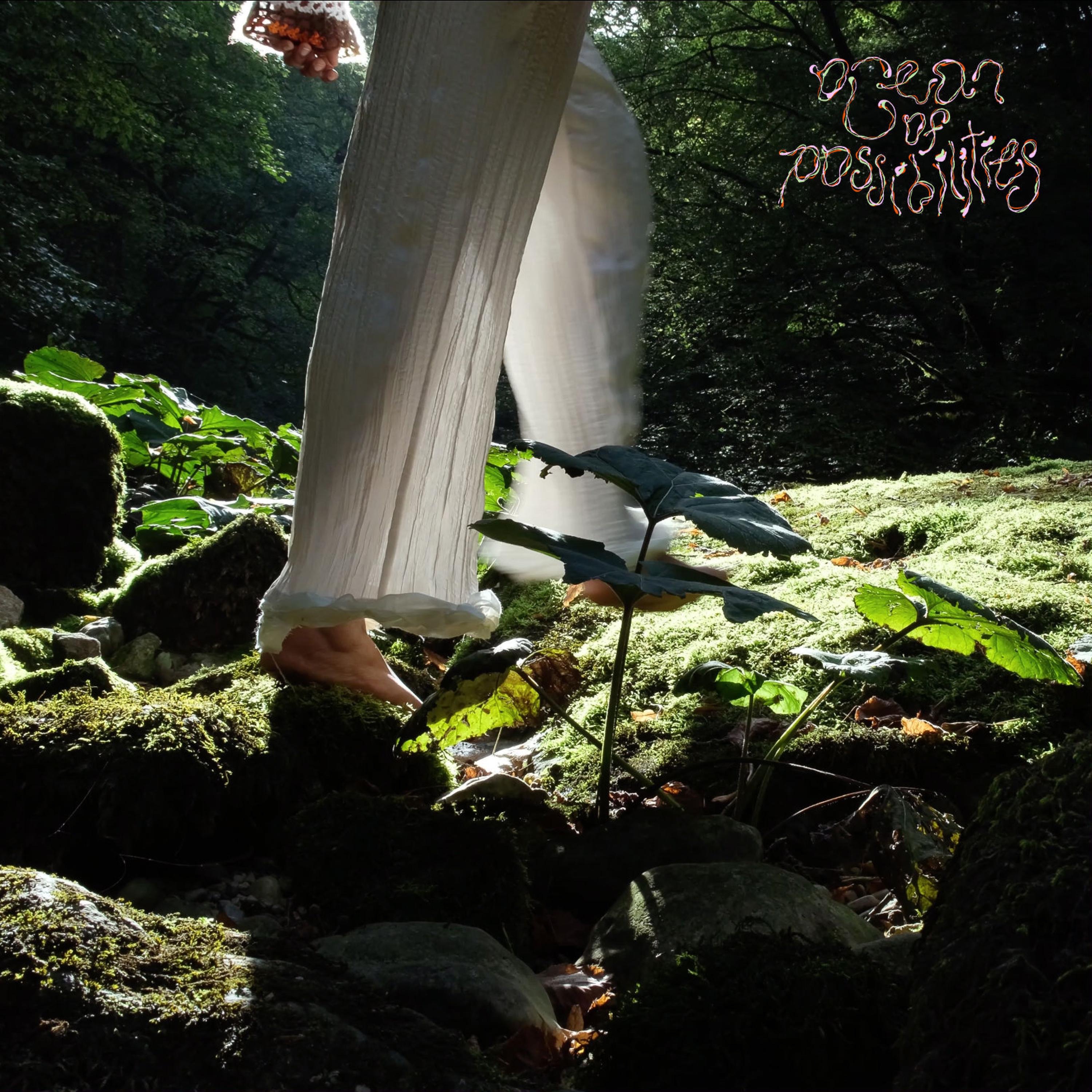 Ocean of Possibilities - Single