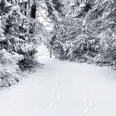 I'll Be Home For Christmas (feat. Emma Beaton) - Single
