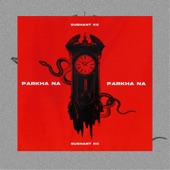 Parkha Na artwork