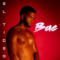 BAE - Single - El Tiger
