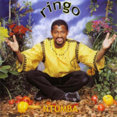 Ndiyagodola - Ringo Madlingozi Cover Art