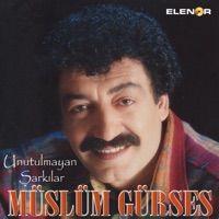 Unutulmayan Şarkılar - Müslüm Gürses