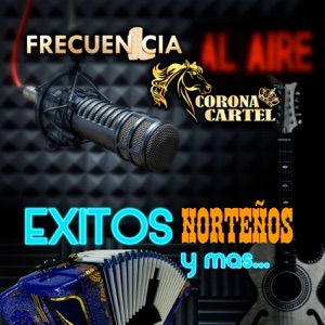 Éxitos Norteños Y Mas (Norteño)