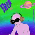 TRIP