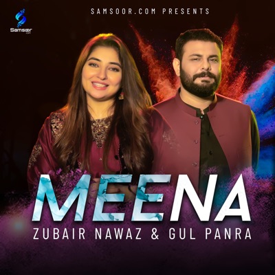 Meena (feat. Zubair Nawaz) - Single