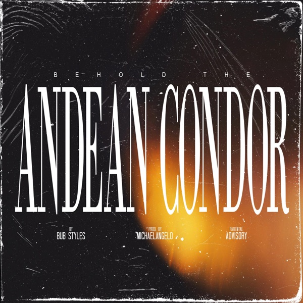Behold the Andean Condor