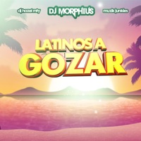 Latinos A Gozar - Single - DJ Morphius, Dj Hazel Mty & Muzik Junkies