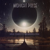 Midnight Pulse (feat. Hugo Modulation) - Single - Richi Tunes
