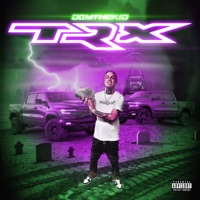 TRX - Single - Domthekid