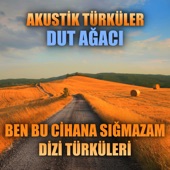 Akustik Türküler: Dut Ağacı (Ben Bu Cihana Sığmazam Dizi Türküleri) artwork
