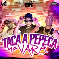 Taca a Pepeca na Vara - Single - DJ GUI 011, Mc Menor Ryan & Pretão Dj
